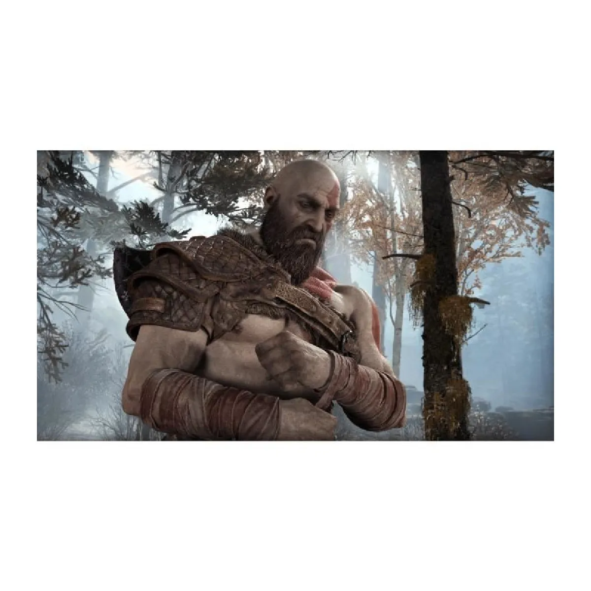 Sony Interactive Entertainment God Of War Hits - PS4