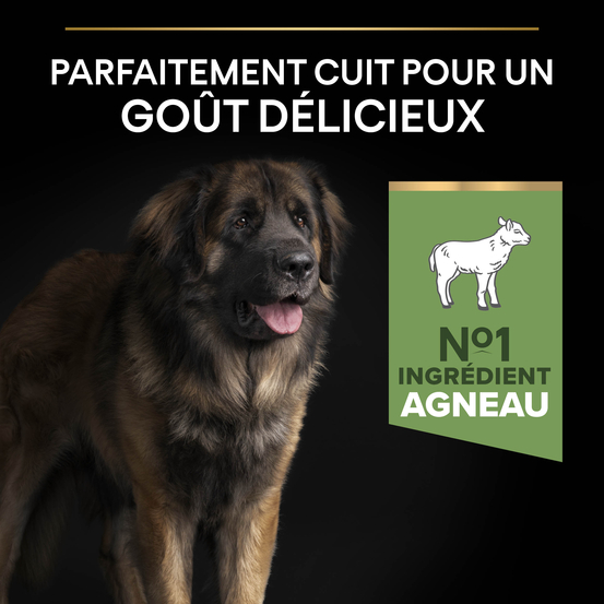 Croquettes chien adulte à l'agneau digestion difficile - 14 kg