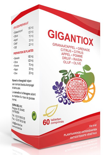 Soria Natural Soria Gigantiox Tabletten 60TB