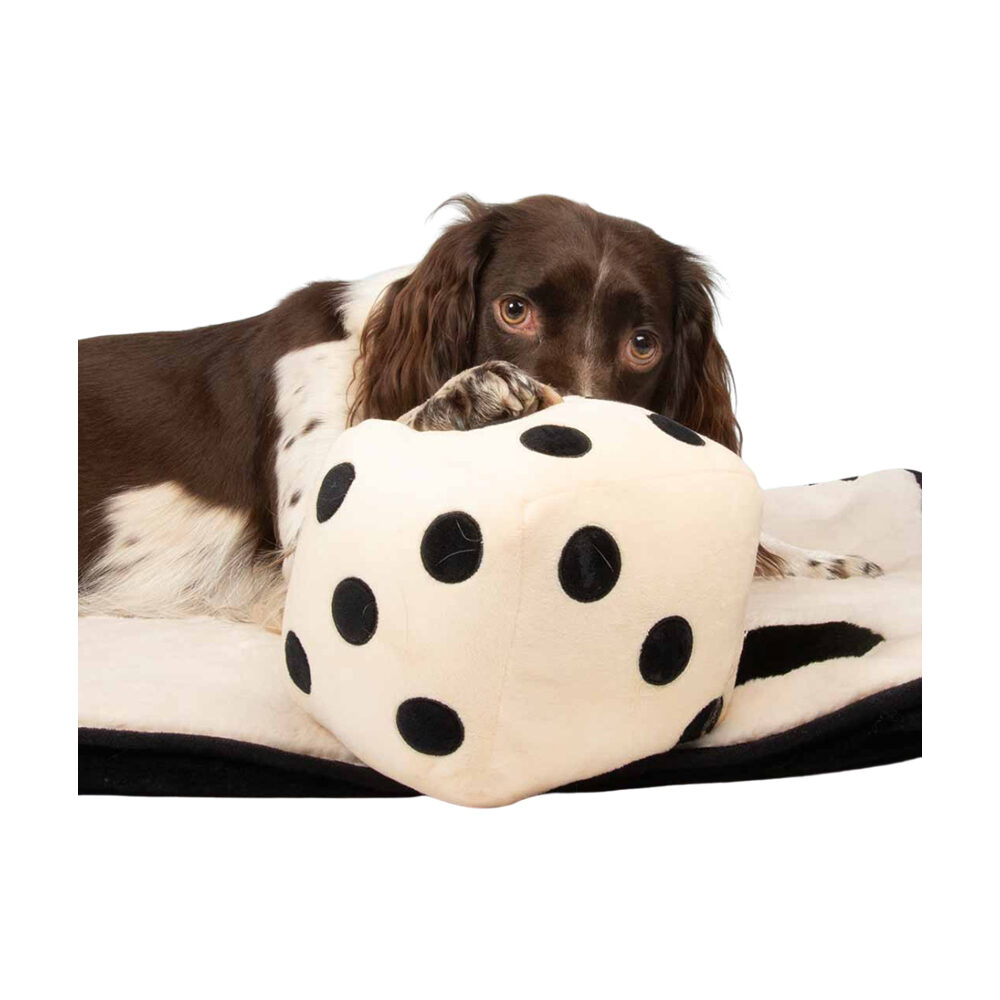 Coockoo Roll the Dice Hondenspeelgoed