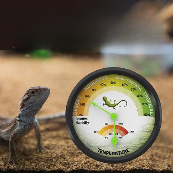 INF Hygrometer for krypdyrterrarium