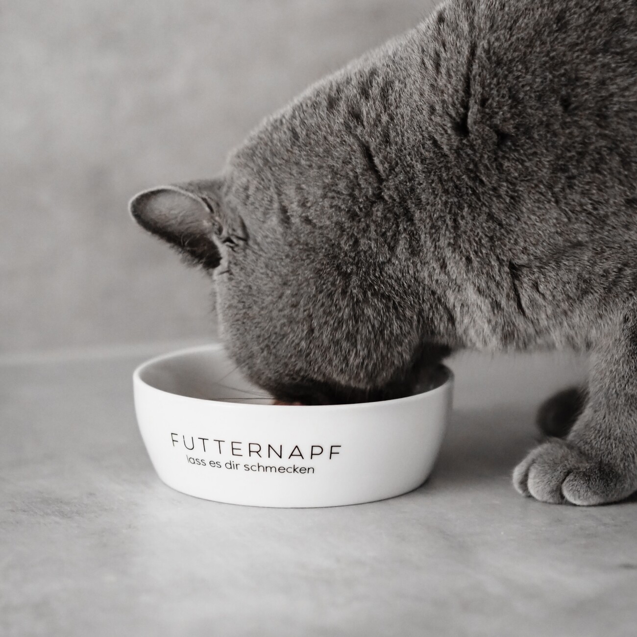 Minty&Marla Futterstation 3er Set Katze schwarz
