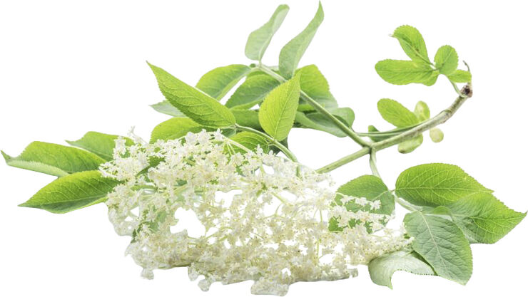Less Is More Organic Protect & Repair Facial Cream 50 ml.