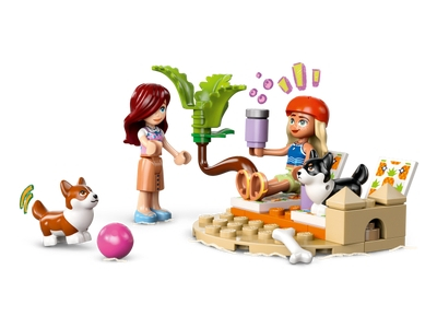 LEGO Surf- en scooterplezier met de honden (42641)