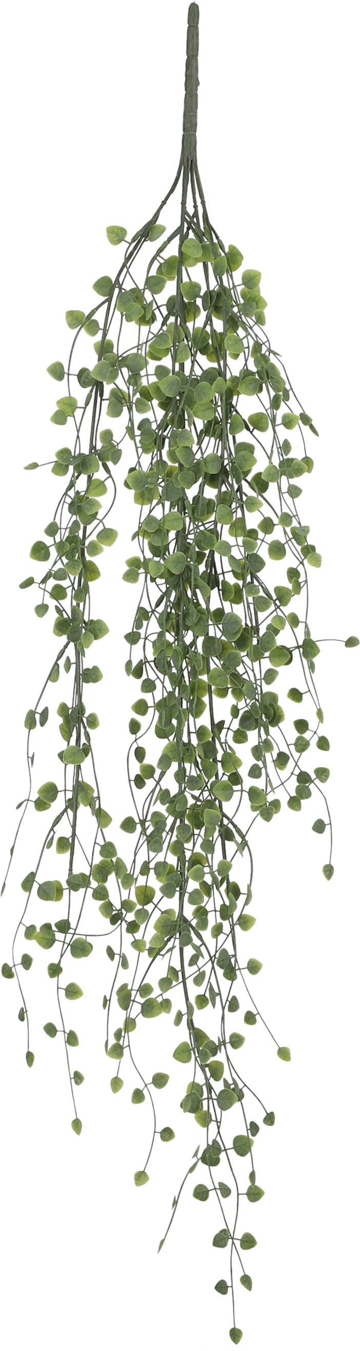 Mica Decorations kunsthangplant Peperomia 5 x 15 x 80 cm