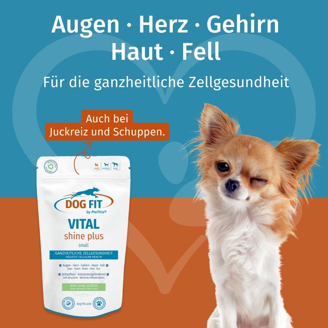 DOG FIT by PreThis® VITAL shine plus » Augen, Herz, Gehirn, Organe Präparat für Hunde (small)