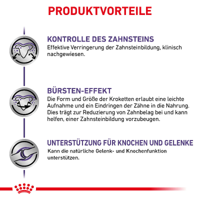 Royal Canin VET Hund Dental 6kg