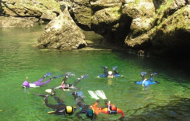 Schnorcheln und Scuben in Desselbrunn als Geschenk