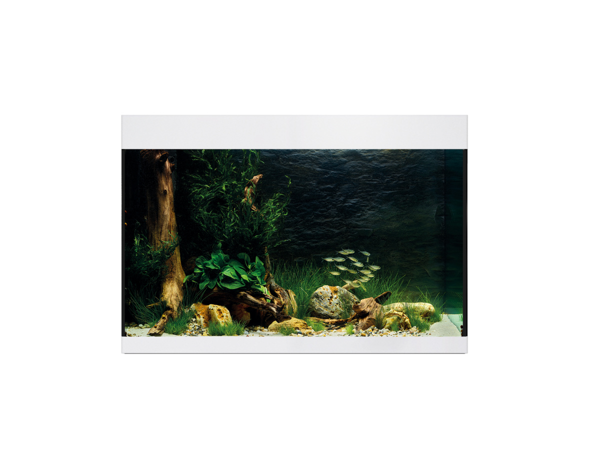 Oase StyleLine 175 Aquarium Wit