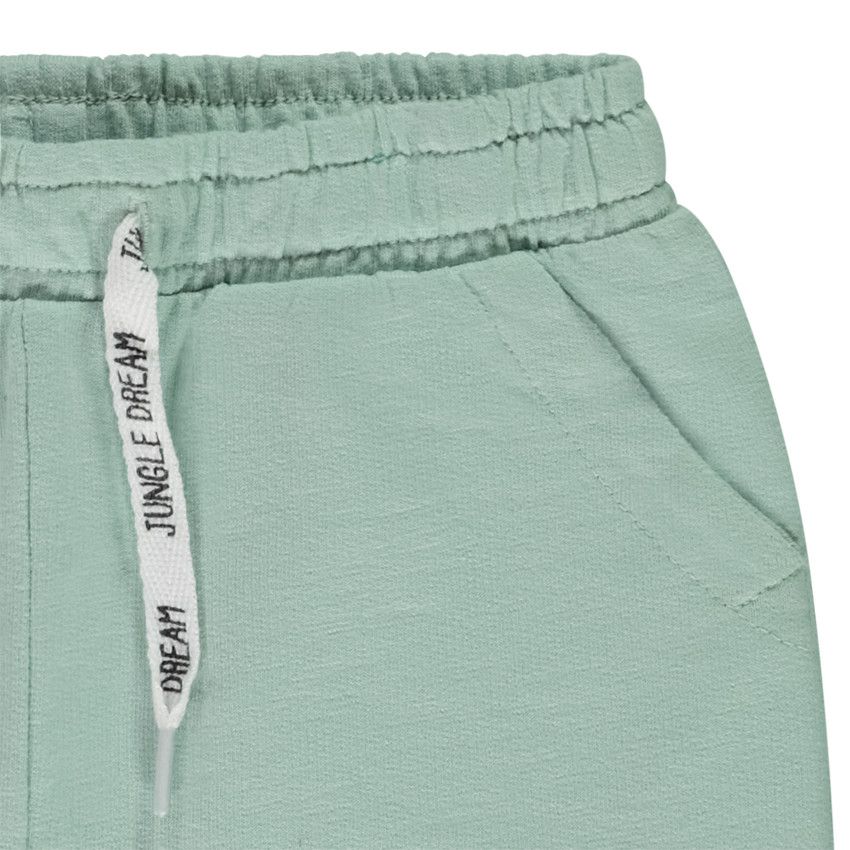 Ensemble t-shirt fantaisie à rayures + short uni pour bébé garçon - Vert
