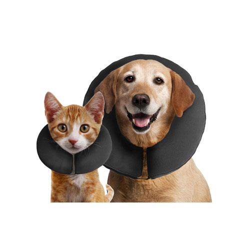 ZenPet Pro Collar