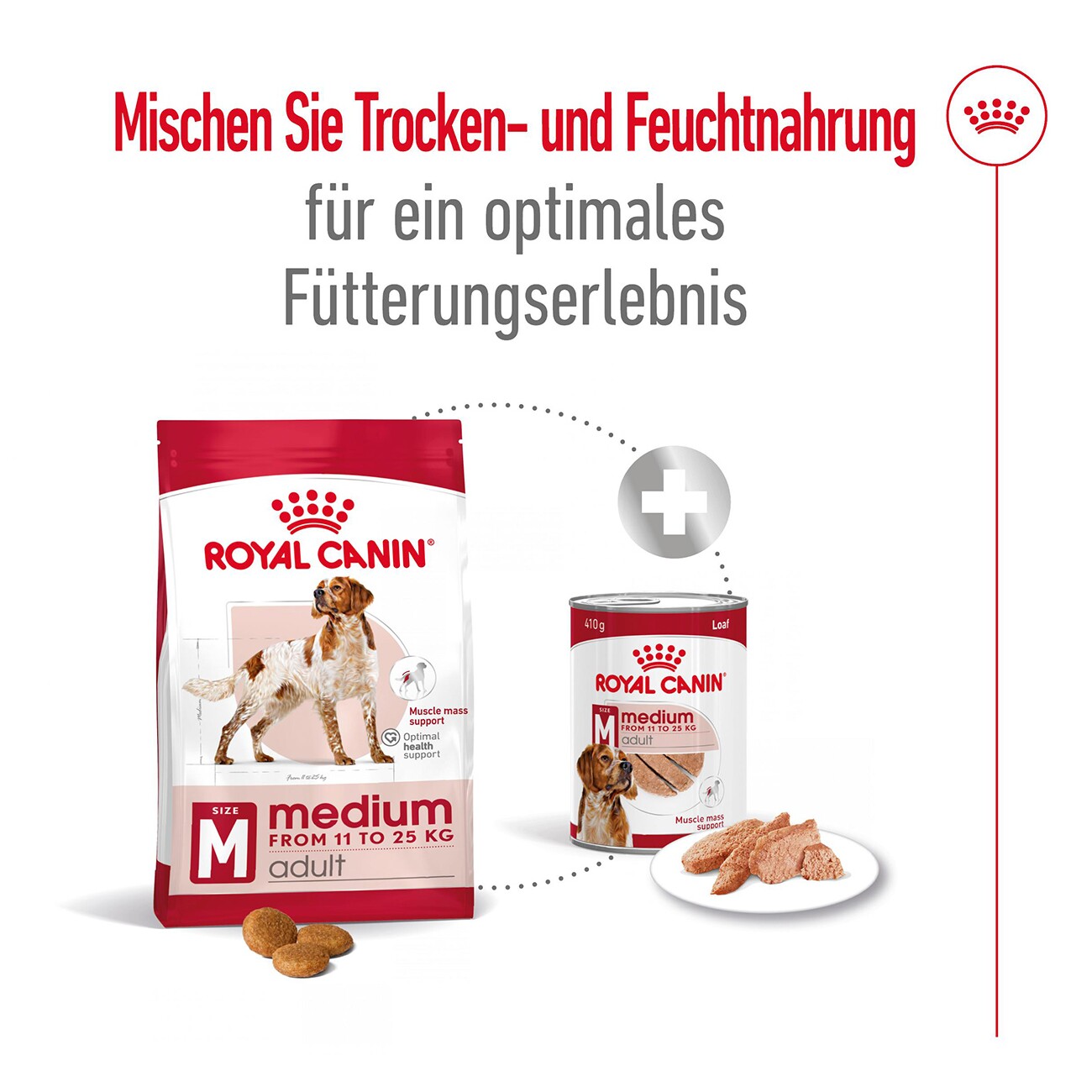 ROYAL CANIN Medium Adult Mousse 12x410 g