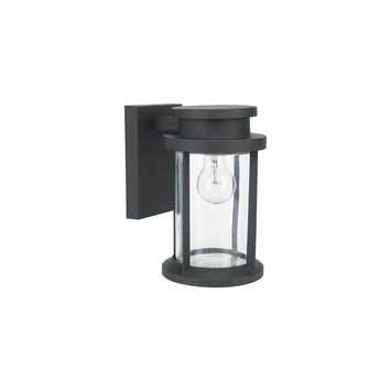 GAMMA Buitenlamp Blackwood zwart