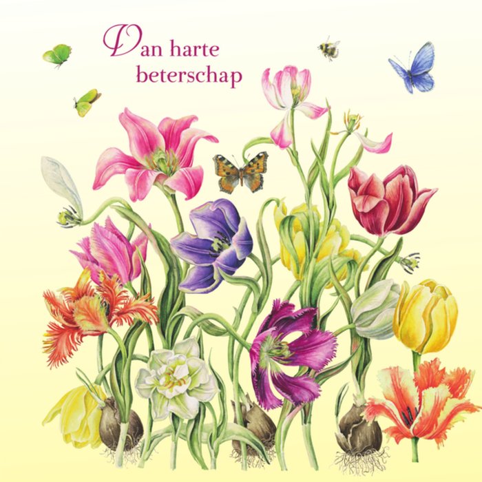 Janneke Brinkman | Beterschapskaart | Bloemen en vlinders
