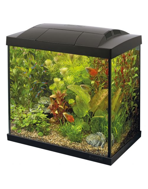 Superfish Aquarium Start 50 Tropical Kit Retro Led 39 l - Aquaria