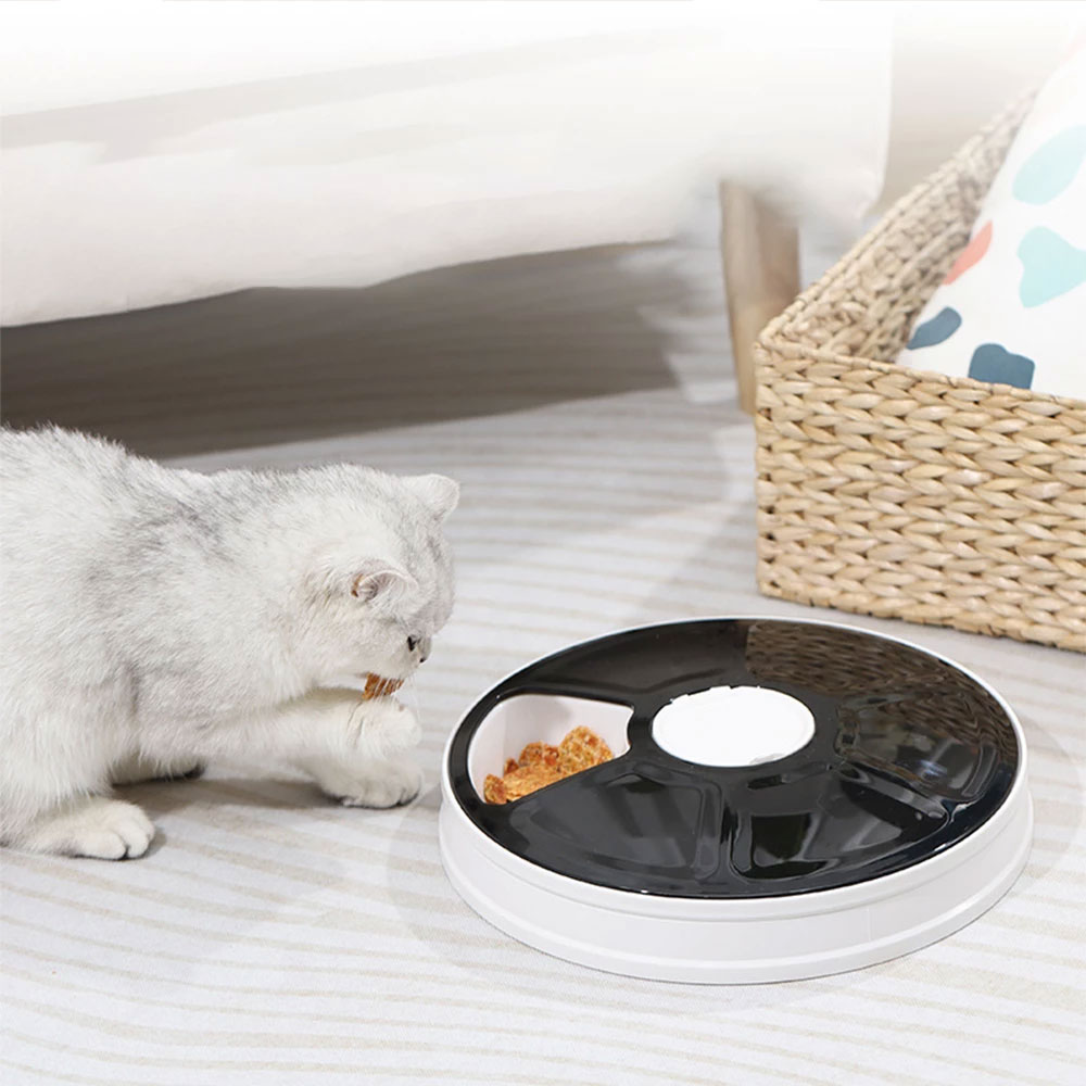 Automatischer Haustier Futter Spender 6 Mahlzeiten Futterautomat für Hunde / Katzen (Batteriebetrieben) - Weiss