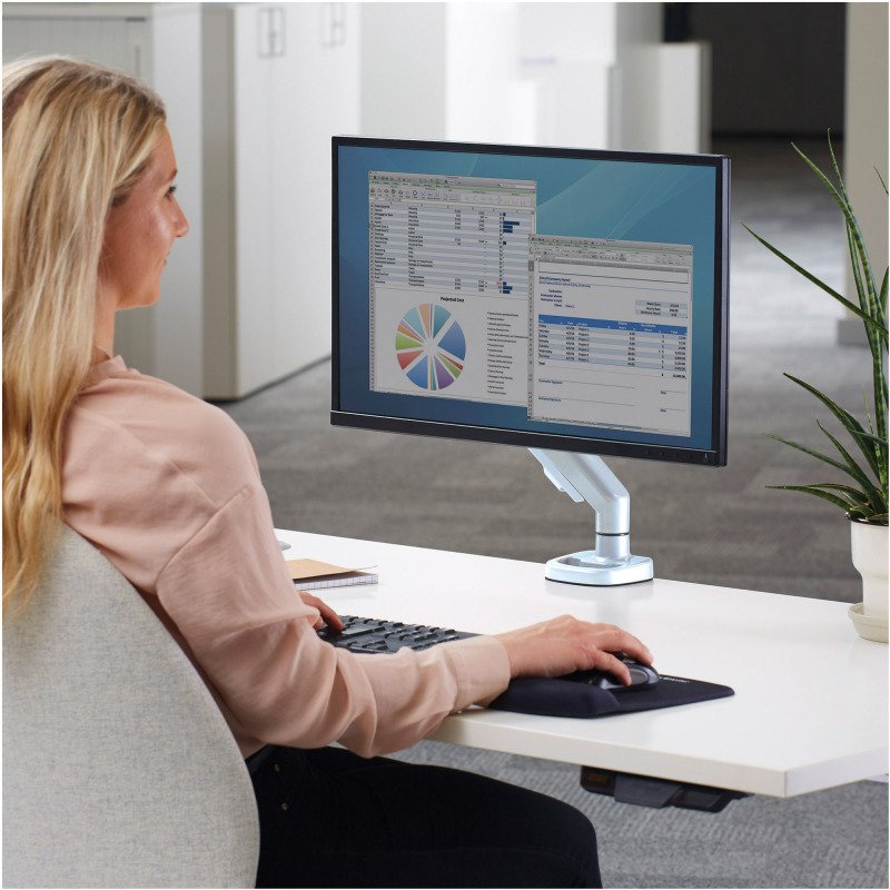 Bras support écran simple Eppa Fellowes