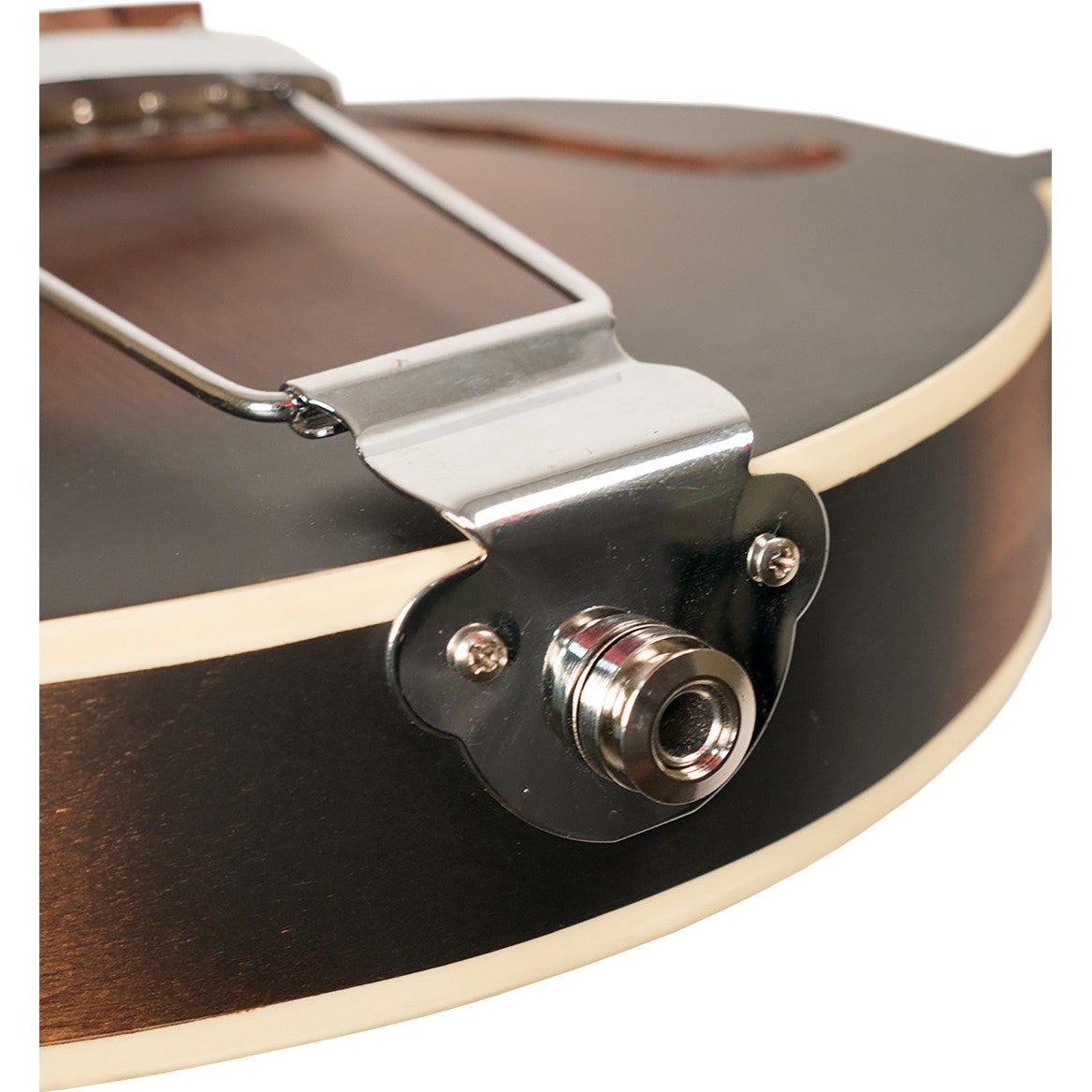Gold Tone F-6 elektrische mando-guitar, met koffer