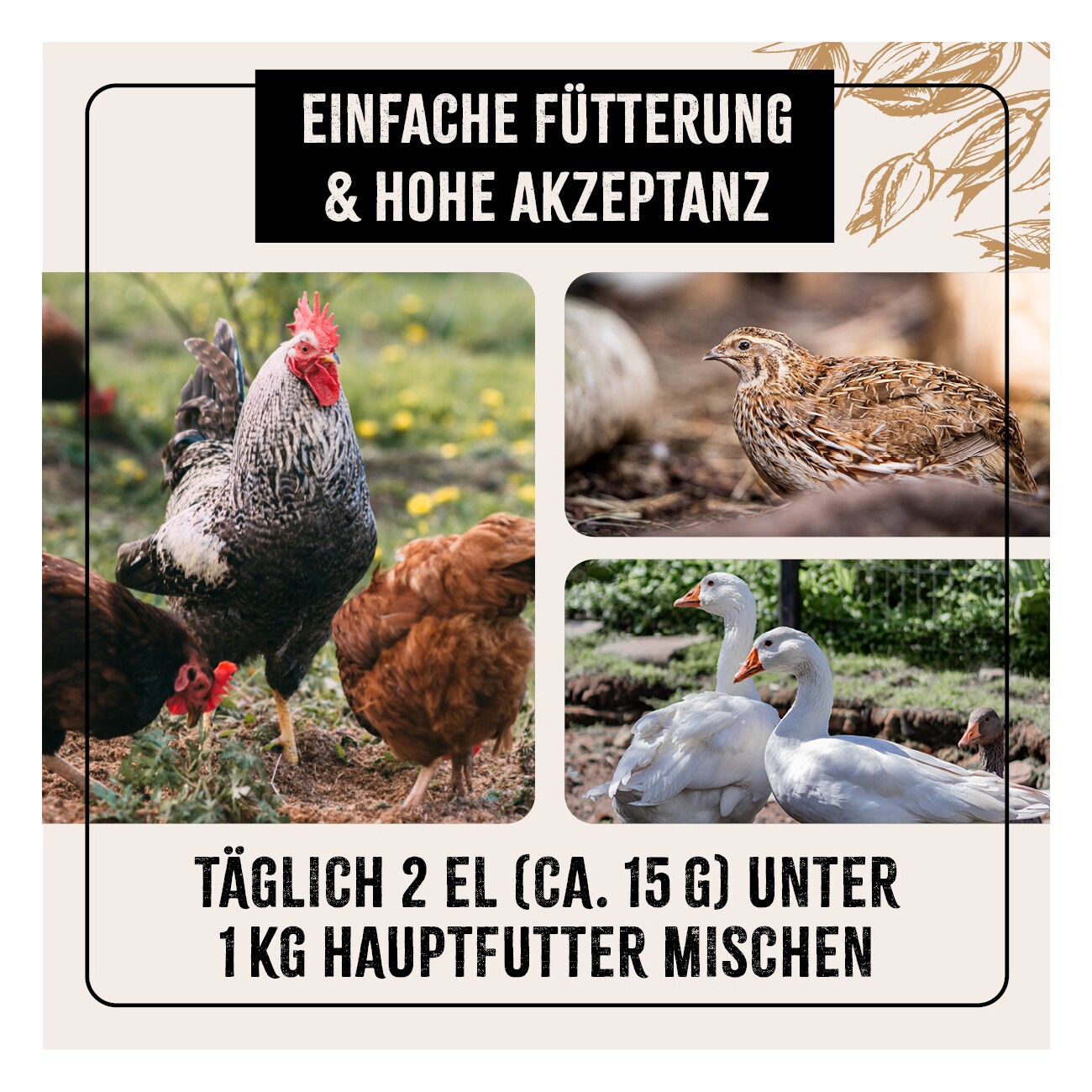 AniForte Hühnertraum 2,5kg