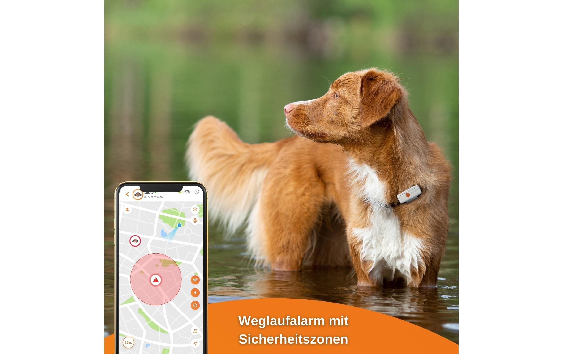 GPS-Tracker »Weenect XS für Hunde Weiss«