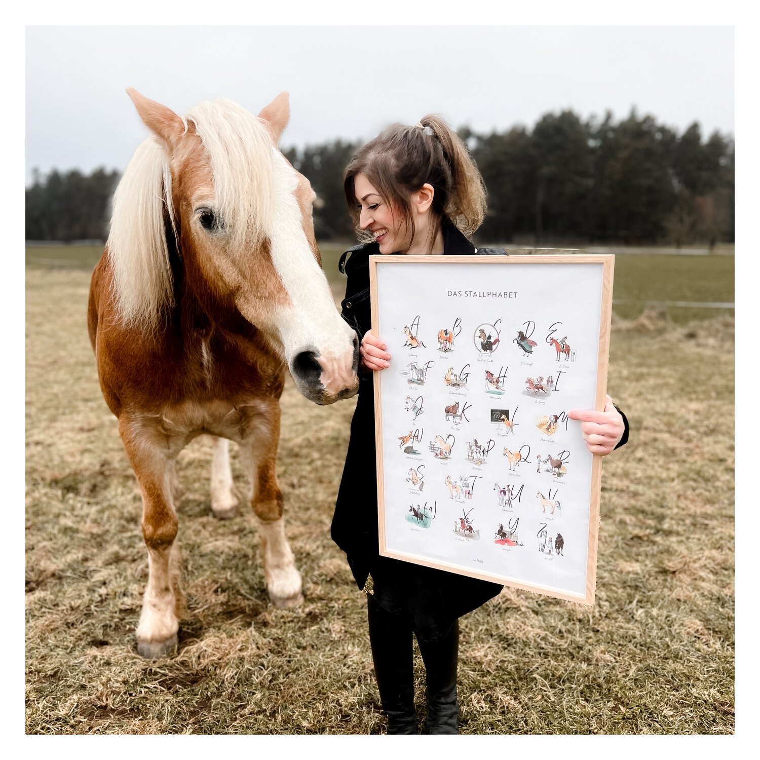 mrs. RIDE Poster Das Stallphabet