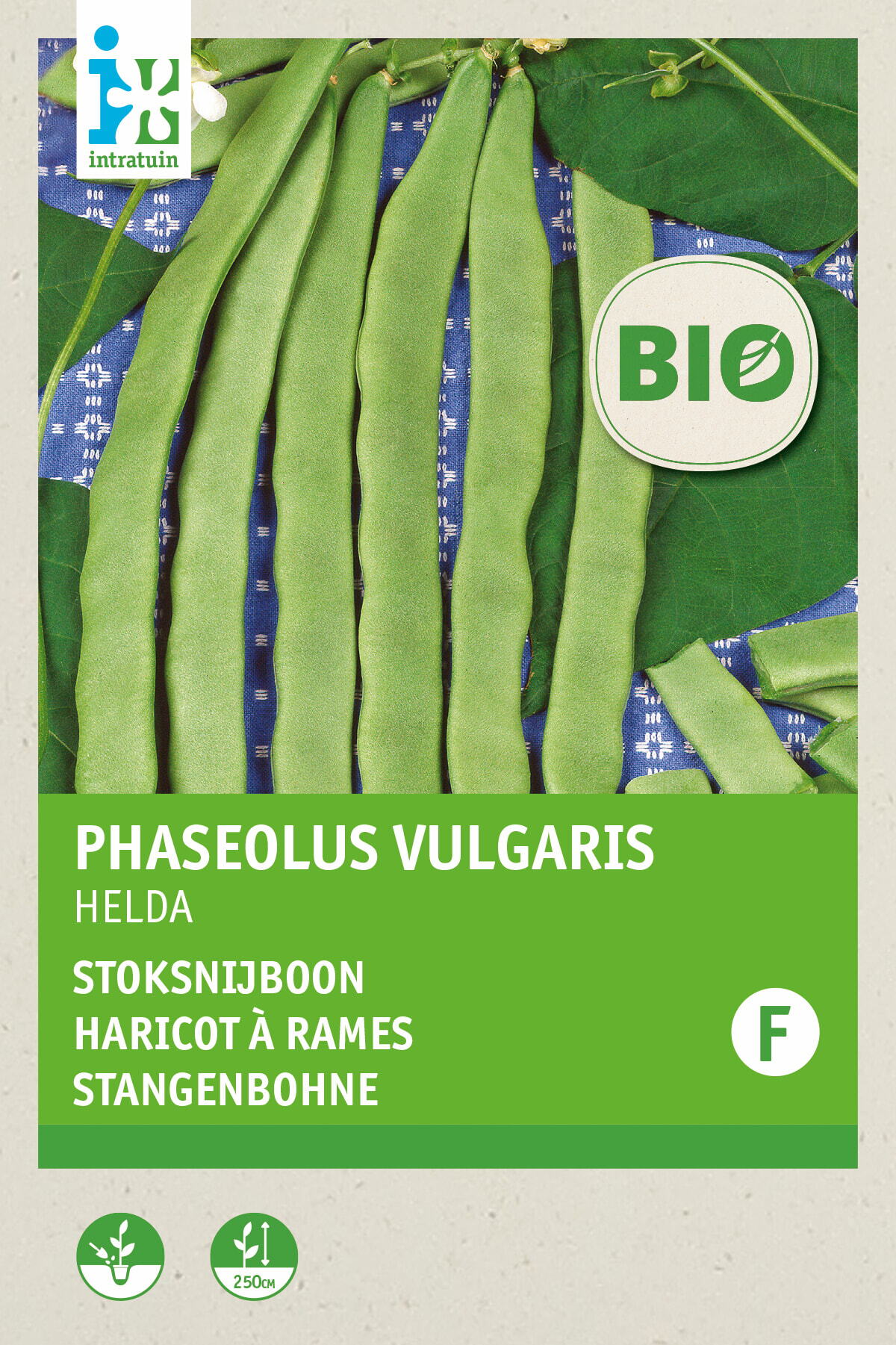 Intratuin Biologisch groentezaad Stoksnijboon (Phaseolus vulgaris 'Helda')