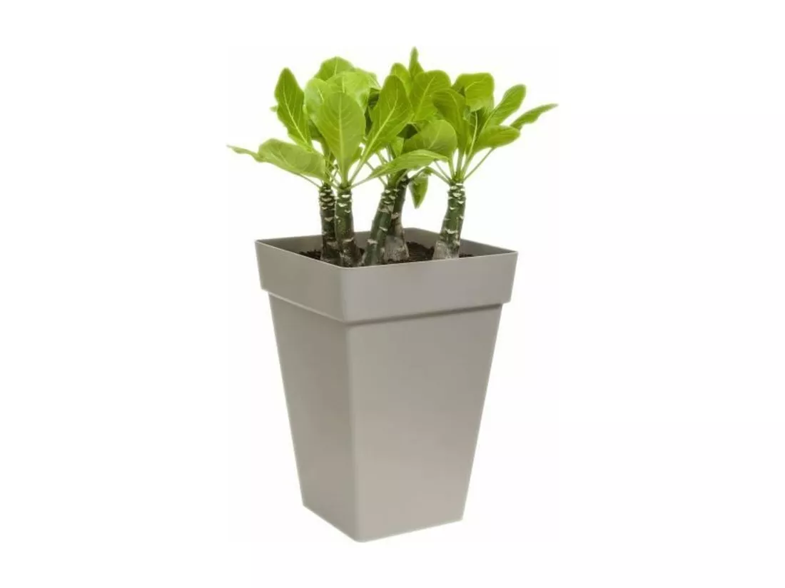 Loft Urban Bac à fleurs Carré Haut 37 - Blanc Ø 37 x 51 cm