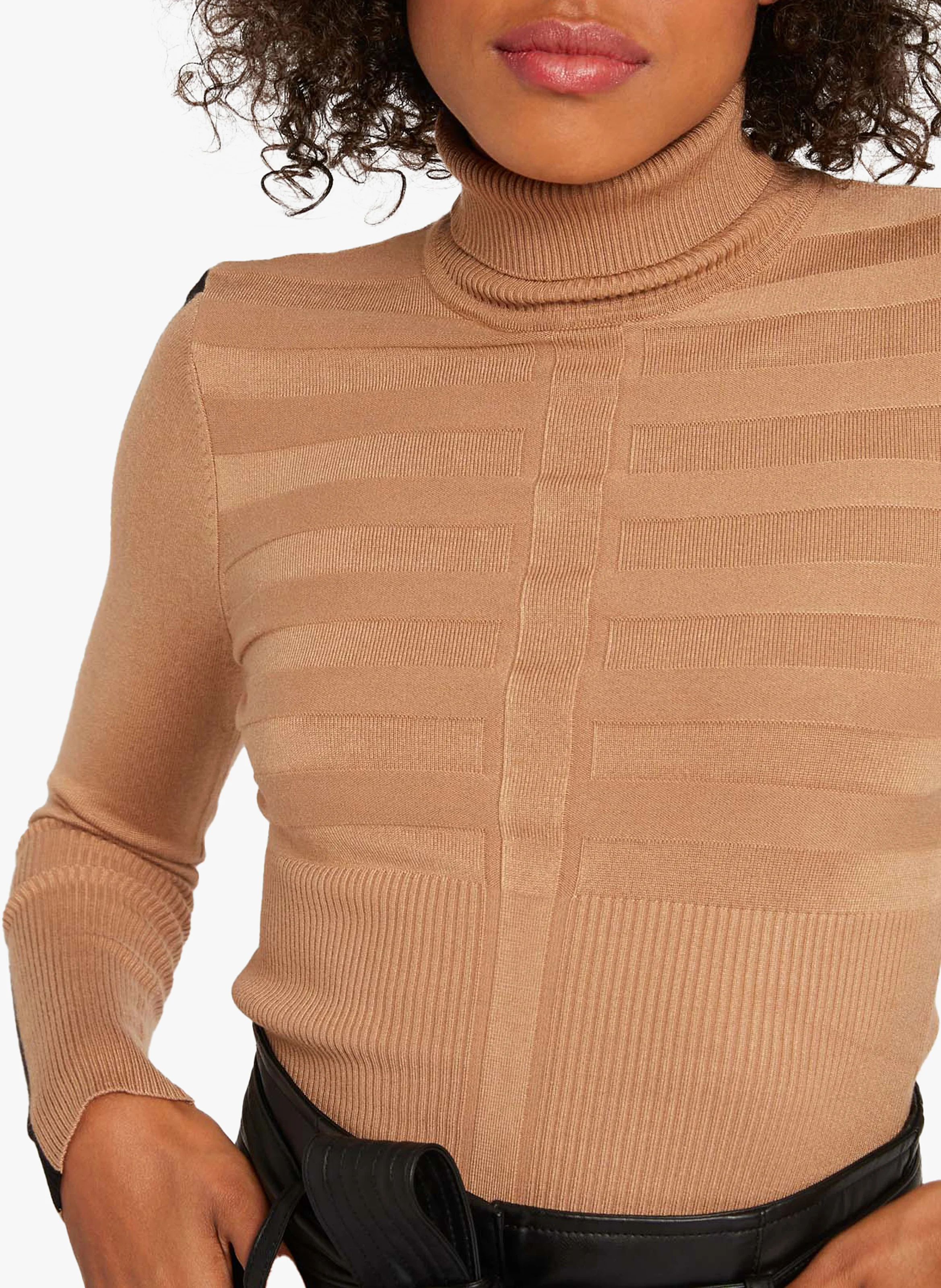 Pull col roulé moulant | Marron