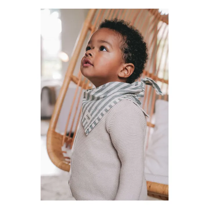 Loir Foulard Alfred Rayé | Vert
