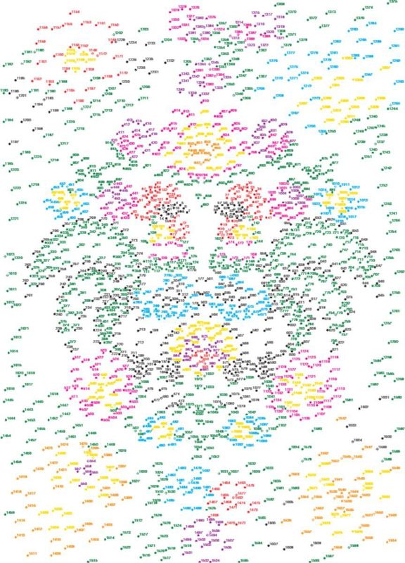 Dot to Dot Puzzelboek - Diverse Illustraties - Geschikt voor Kleuren