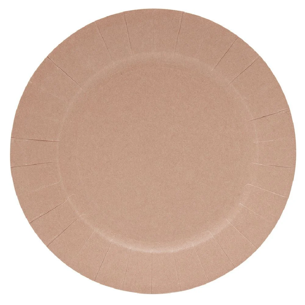 Lot de 10 assiettes en carton Ø18cm rose