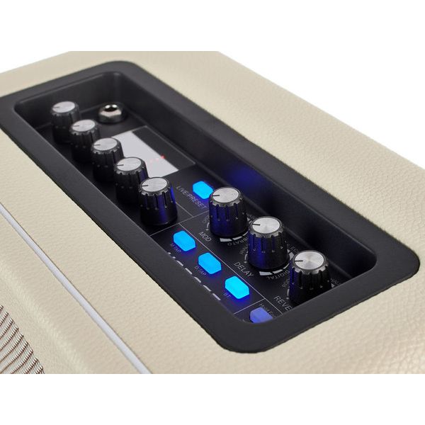 Mooer Hornet Modeling Combo WH