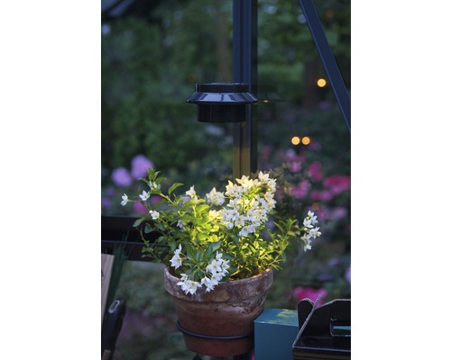 Juliana solar LED-lamp voor kassen