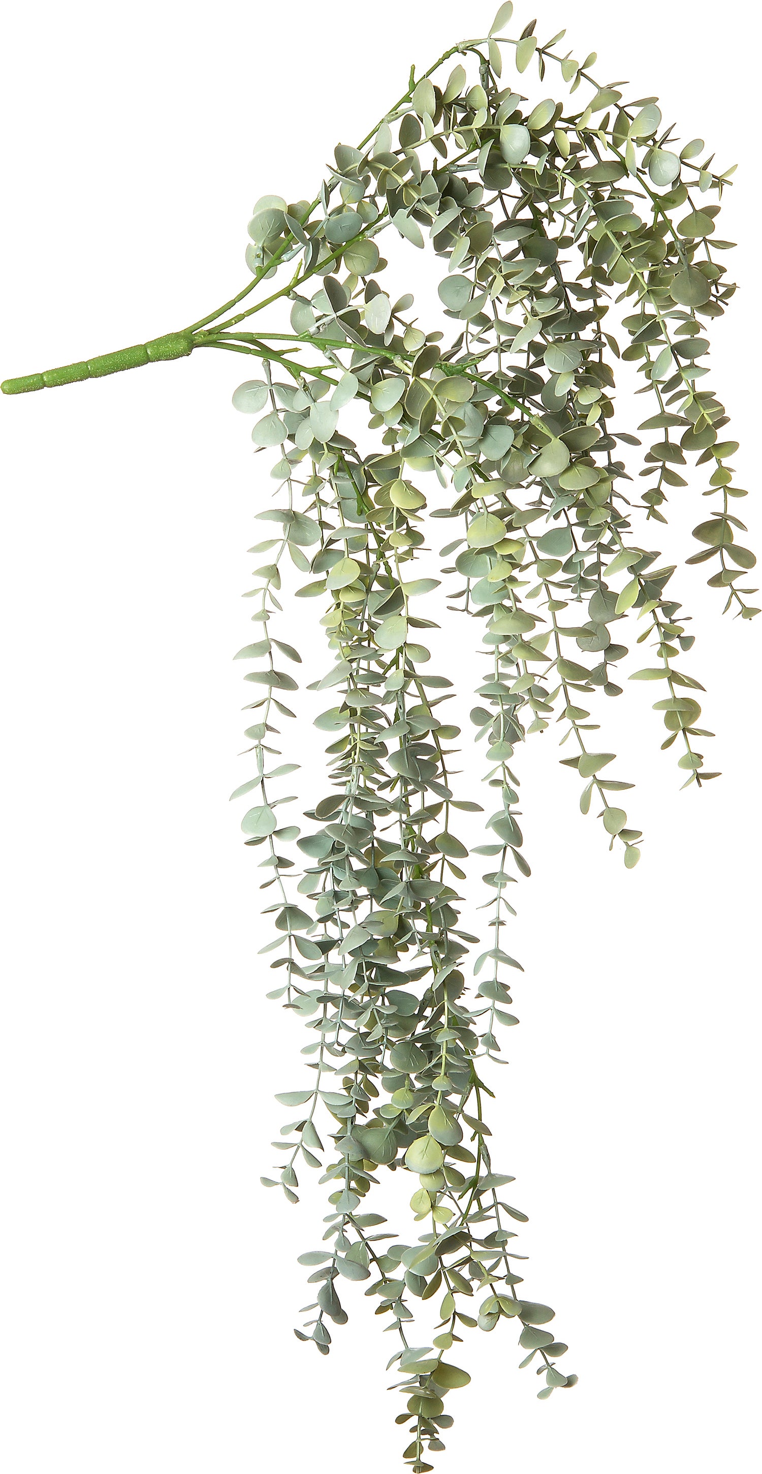 Intratuin kunsthangplant Eucalyptus 78 x 20 x 20 cm