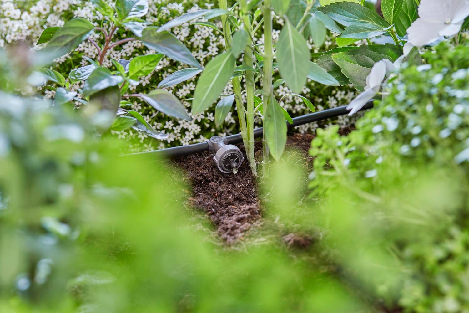 Gardena Micro Drip systeem drukcompenserende seriedruppelaar 2 L