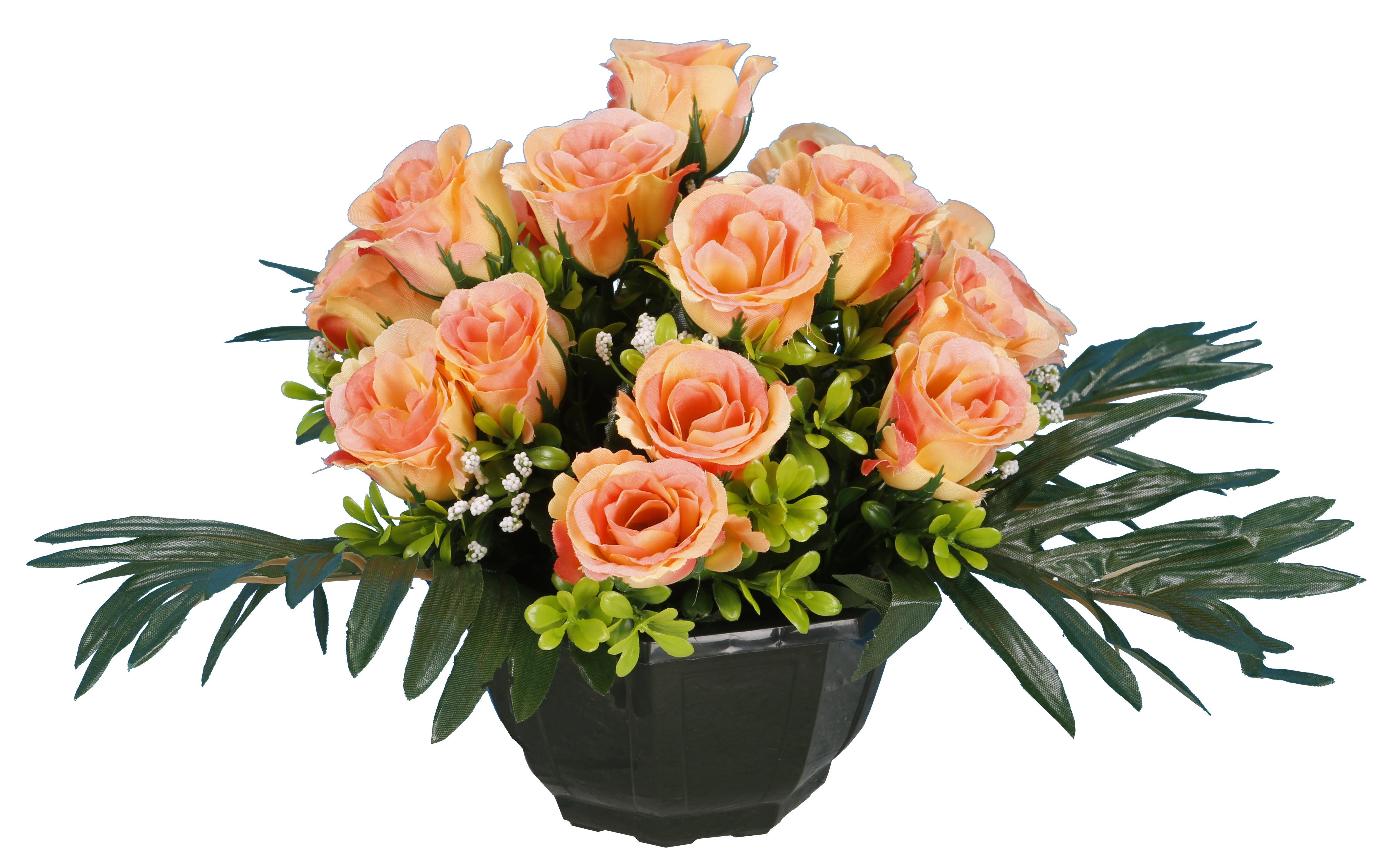 COUPE ROSETTES