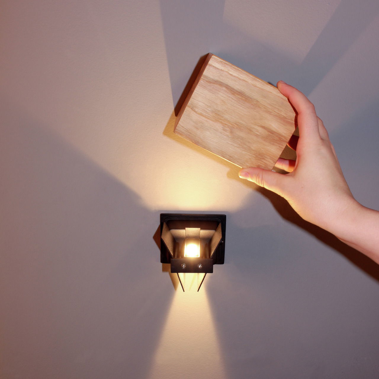 Fischer & Honsel Wandleuchte SHINE-WOOD