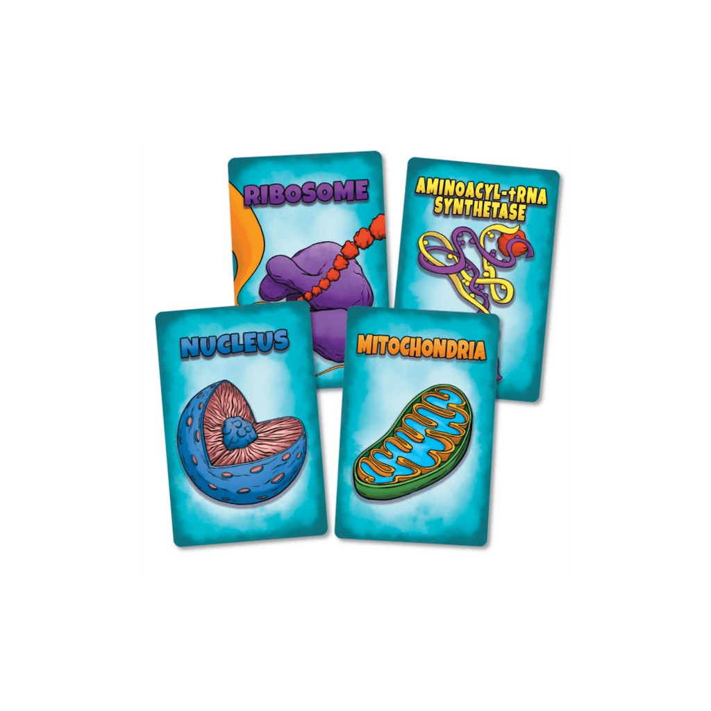 Peptide: A Protein Building Game