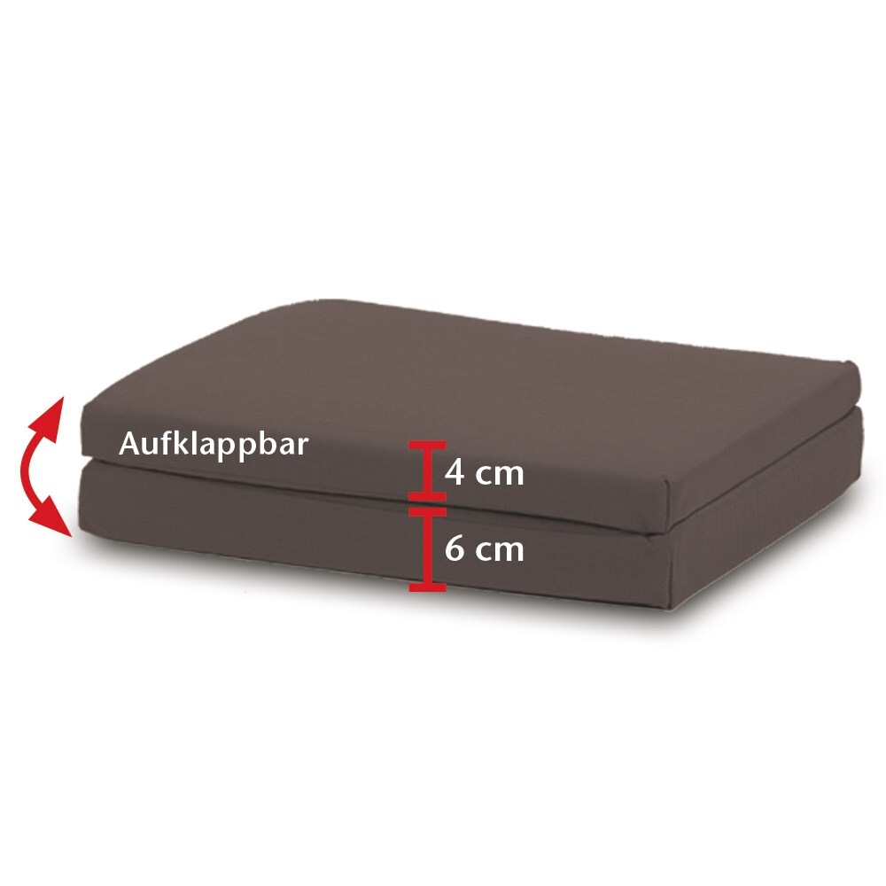aktivshop Visko Sitz- und Rückenkissen 2in1