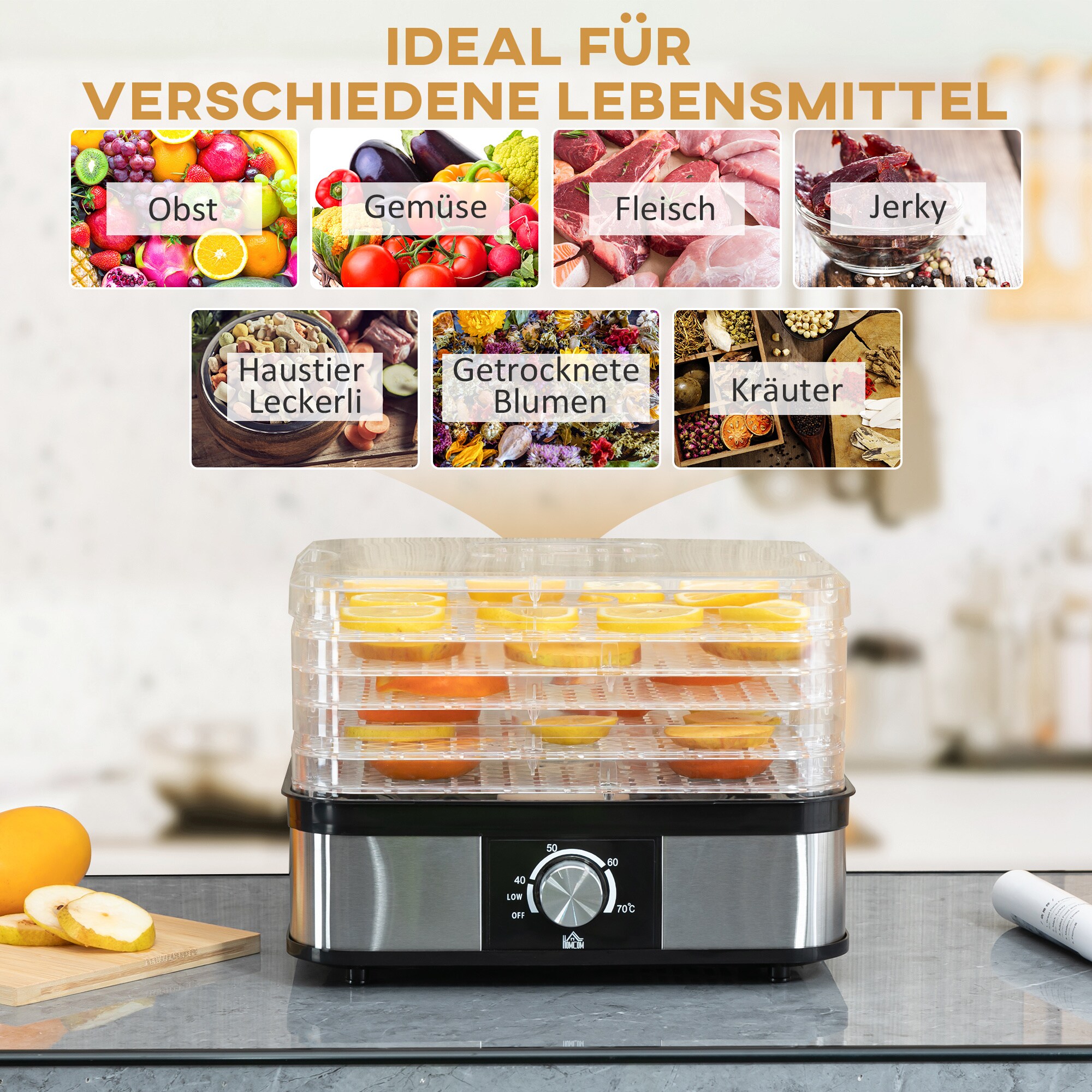 HOMCOM Dörrgerät mit Temperaturregler silber 32L x 25B x 29H cm