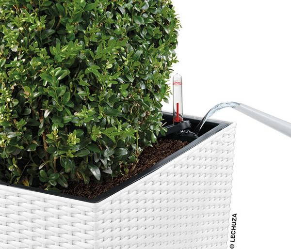 LECHUZA® Kunststoff-Topf Cube Cottage,