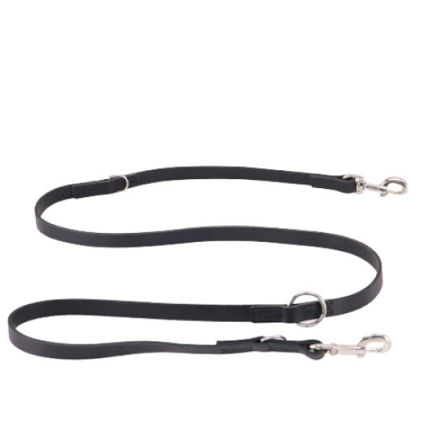 Laisse cuir multiposition pour chien