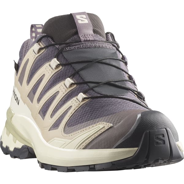 Chaussure trail SALOMON XA PRO 3D V9 GORE-TEX W NINE IRON/OXFORD TAN/ALFALFA