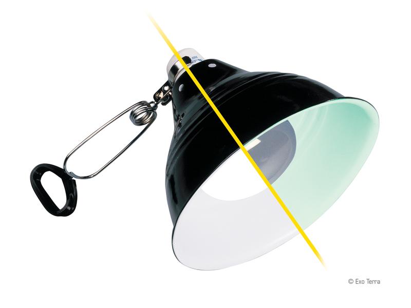 Exo Terra Klemmlampe Glow Light M, Ø 21 cm Porzellan-Klemmlampe mit Leuchtreflektor