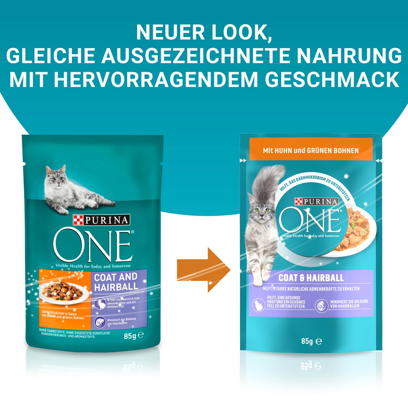 Purina ONE Coat & Hairball 26x85g