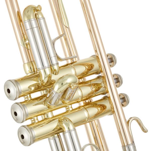 B&S 3137G-L Challenger I GM