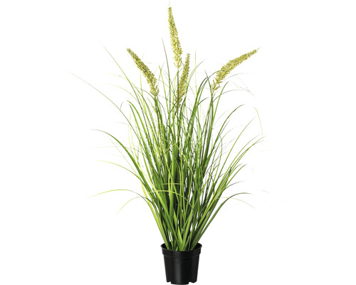 Kunstmatige penisplant in pot, hoogte: 71 cm, groen