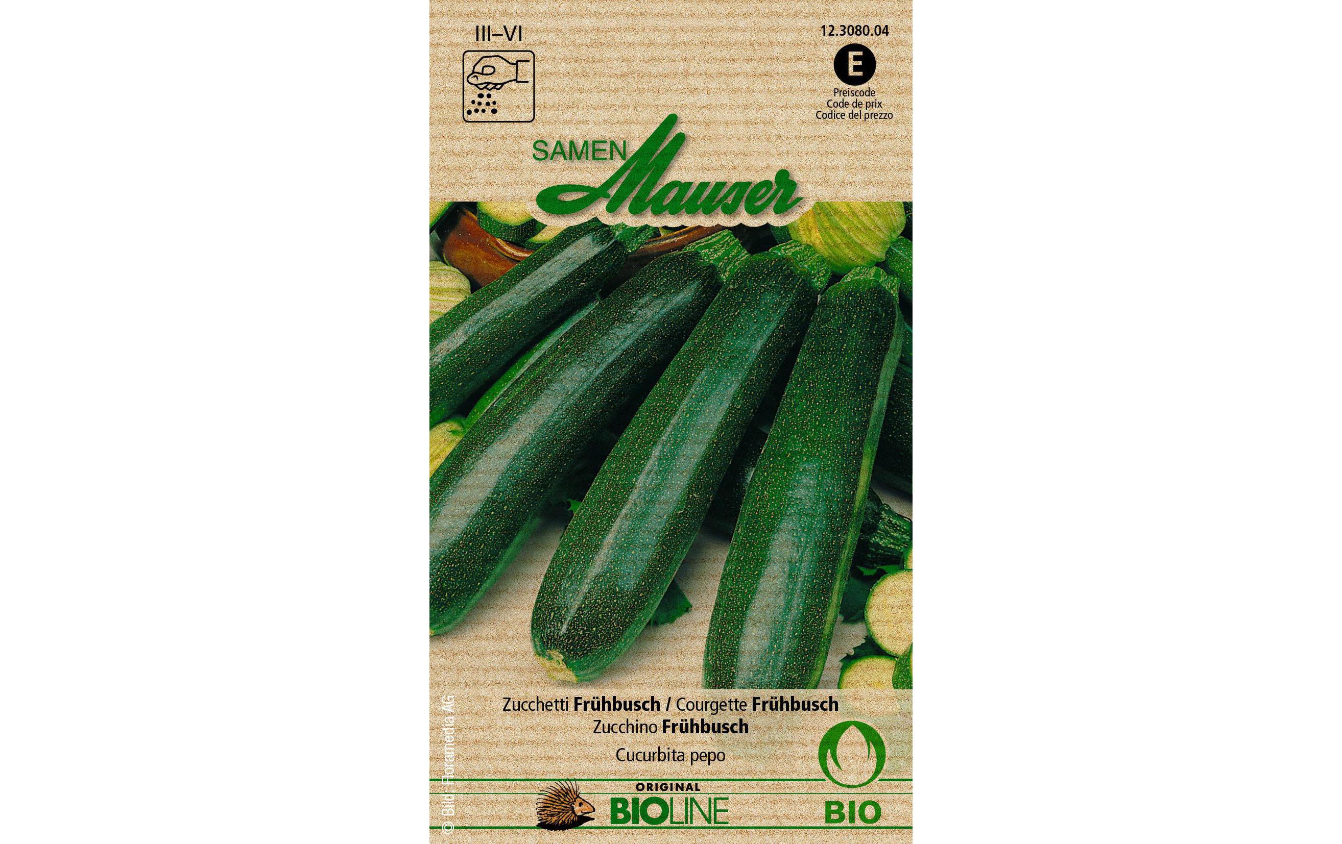 Samen Bioline Zucchetti FrühbuschGemüsesamen