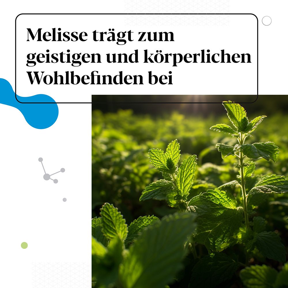 IberoBiotics® Zen - für ein gutes Bauchgefühl in stressigen Zeiten