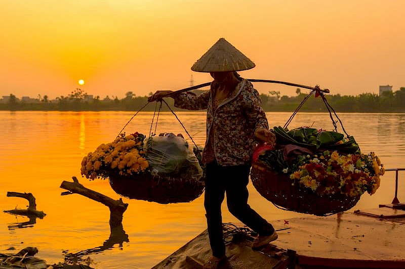 Vietnam Compleet